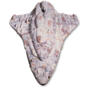 Mon Calamari Star Cruiser icon